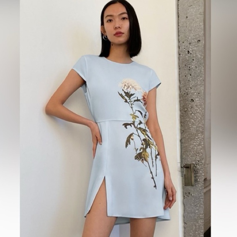 Aritiza Babaton Hamptons Mini Dress (D10)